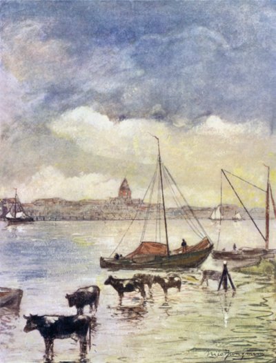 Il fiume Ysel da Nico Jungman